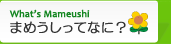 まめうしってなに？